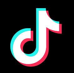 Tiktok Real Followers Logo